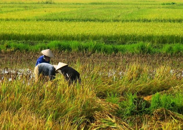Images about Vietnam exhibited in Uruguay